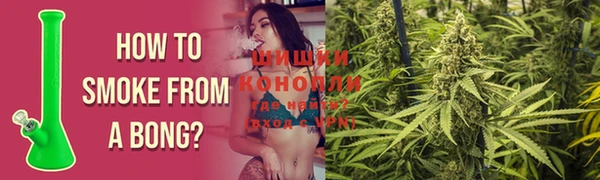 прущие грибы Нефтегорск