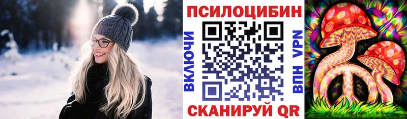 KRAKEN вход  Тольятти  Галлюциногенные грибы мицелий 