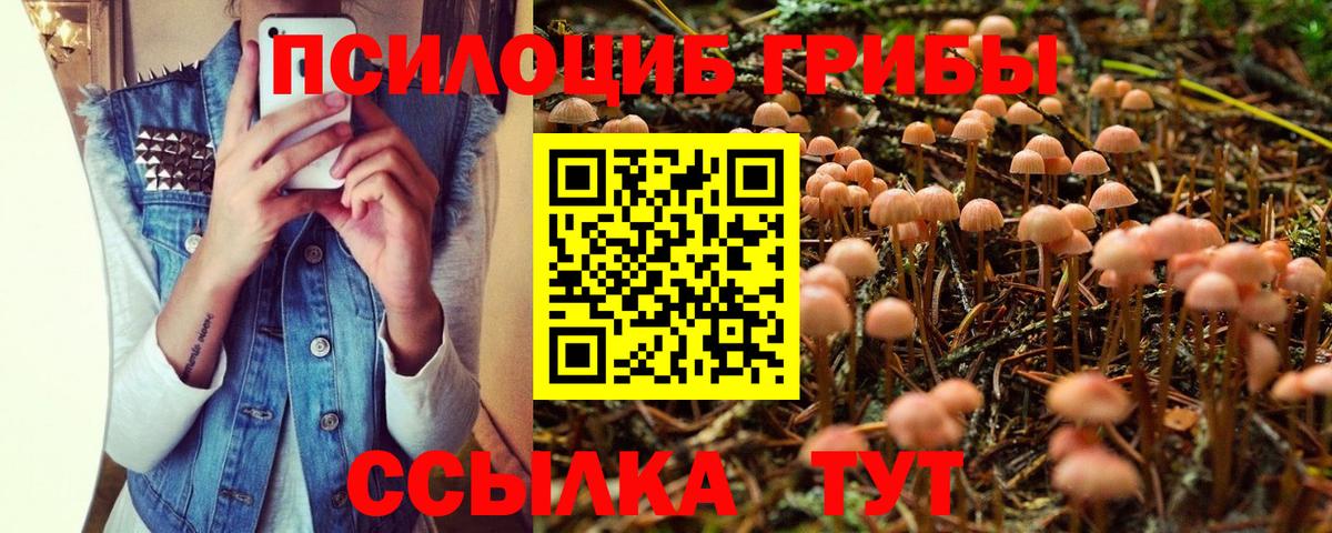 Псилоцибиновые грибы мухоморы Тольятти